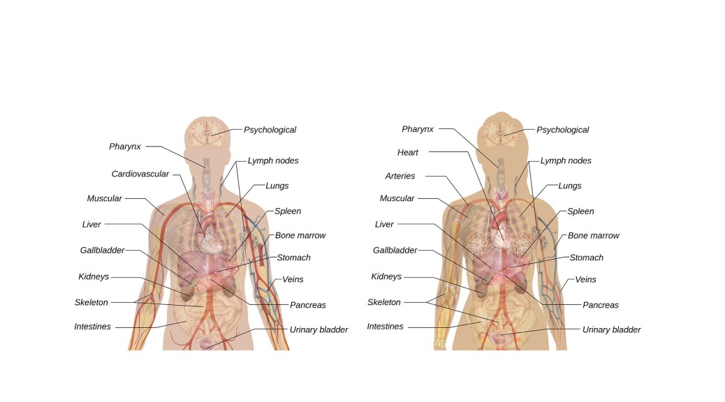 Vital Signs: Understanding What the Body Is Telling Us course on Coursera